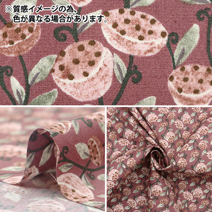 [Quantity starting from 5] Fabric "Broad Hasu Shiro x Blue KTS7077-E" COTTON KOBAYASHI