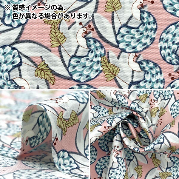 [Quantity starting from 5] Fabric "Broad Kujaku Blue Fabric KTS7100-B" COTTON KOBAYASHI