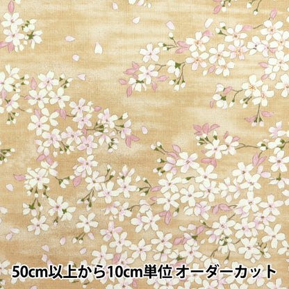 [Quantity starting from 5] Fabric "Southern Cross Sakura Sakura Pattern Light Flax Color KTS6850-A" COTTON KOBAYASHI