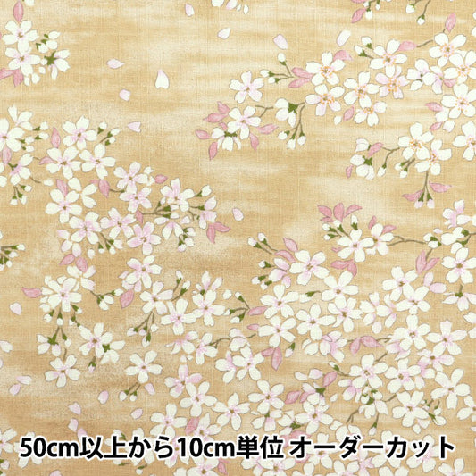[Quantity starting from 5] Fabric "Southern Cross Sakura Sakura Pattern Light Flax Color KTS6850-A" COTTON KOBAYASHI