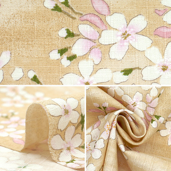 [Quantity starting from 5] Fabric "Southern Cross Sakura Sakura Pattern Light Flax Color KTS6850-A" COTTON KOBAYASHI