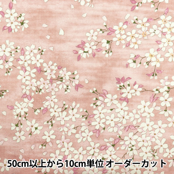 [数量从5开始] 织物 “南十字樱花樱花图案Sakura KTS6850-B" COTTON KOBAYASHI