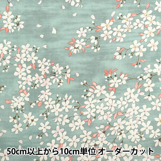 [数量从5开始] 织物 “南十字樱花樱花图案浅水色KTS6850-C" COTTON KOBAYASHI