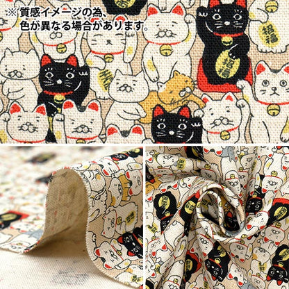 [数量从5开始] 织物 “棉花亚麻帆布Maneki Neko Con KTS7106-C" COTTON KOBAYASHI