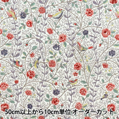 [Quantity starting from 5] Fabric "Broad Antique Rose Bird Sarasa Red Rose KTS7099-A" COTTON KOBAYASHI