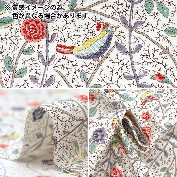 [Quantity starting from 5] Fabric "Broad Antique Rose Bird Sarasa Blue Rose KTS7099-B" COTTON KOBAYASHI