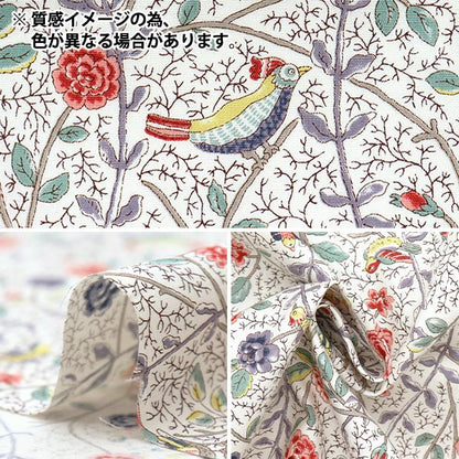 [Quantity starting from 5] Fabric "Broad Antique Rose Bird Sarasa Blue Rose KTS7099-B" COTTON KOBAYASHI