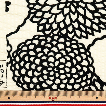 【数量5から】 生地 『う早この布 リップルプリント デコ アイボリー×ブラック UP5948-B』 COTTON KOBAYASHI コットンこばやし 小林繊維