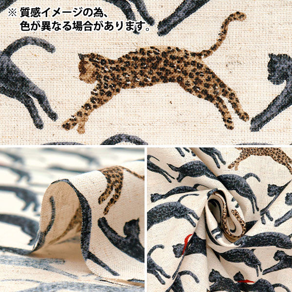 [Quantity starting from 5] Fabric "Cotton and linen"Sheeting Flying Cat Brown KTS7103-B" COTTON KOBAYASHI