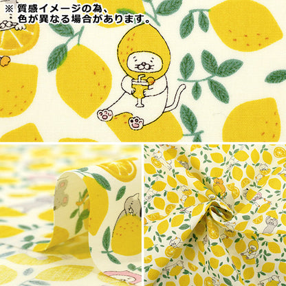 [Quantity starting from 5] Fabric "Broad Lemon Cat Sax KTS7121-C" COTTON KOBAYASHI
