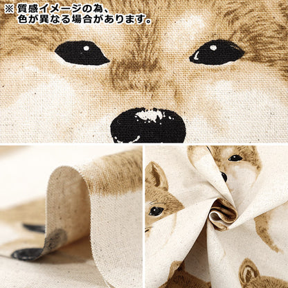[Quantity starting from 5] Fabric "Cotton Linen Canvas Shiba Inu Mix KTS7122-C" COTTON KOBAYASHI