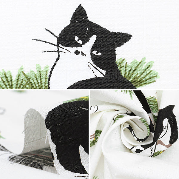 [Quantity starting from 5] Fabric "Dobby Hachiware Cat White AP51103-2A"
