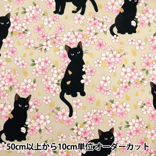 [数量从5开始] 织物 『板材织物 Hyakuhayaran黑猫和樱花象牙HR3520-11A" 被子门被子门