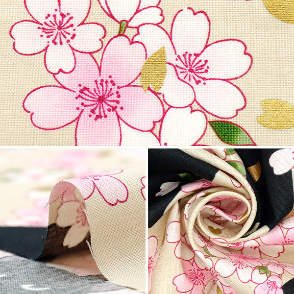 [Quantity starting from 5] Fabric 『Sheeting Hyakuhayaran Black Cat and Cherry Blossom Ivory HR3520-11A" Quilt Gate Quilt Gate