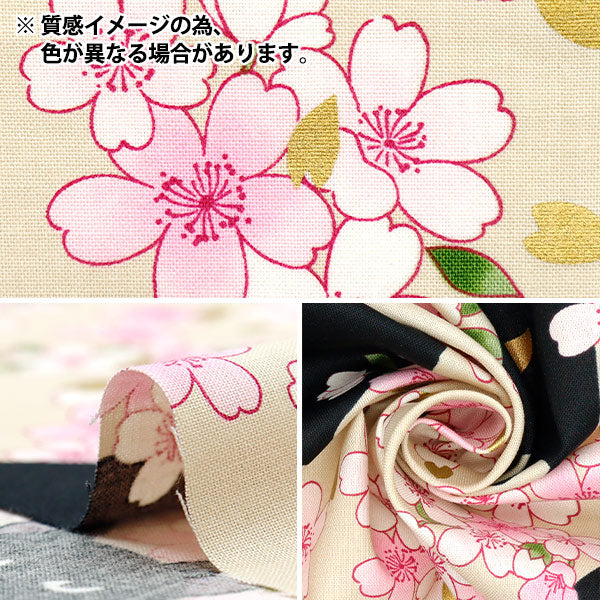 [数量从5开始] 织物 『板材织物 Hyakurean Black Cat和Cherry Blossom Pink HR3520-11B" 被子门被子门