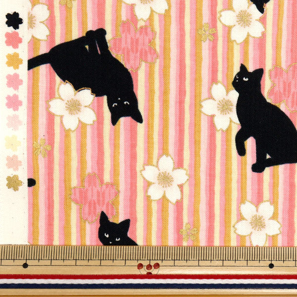 [Quantity starting from 5] Fabric 『Sheeting Hyakuhayaran Black Cat and Cherry Blossom Stripe Pink HR3520-12A" Quilt Gate Quilt Gate