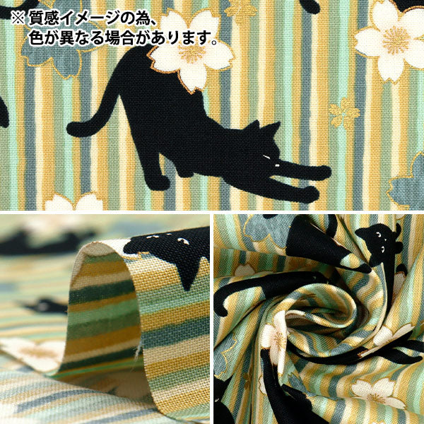 [Quantity starting from 5] Fabric 『Sheeting Hyakuhayaran Black Cat and Cherry Blossom Stripe Pink HR3520-12A" Quilt Gate Quilt Gate