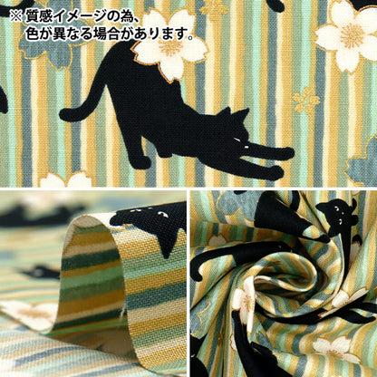 [Quantity starting from 5] Fabric 『Sheeting Hyakuhayaran Black Cat and Cherry Blossom Stripe Pink HR3520-12A" Quilt Gate Quilt Gate