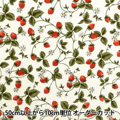 [Quantity starting from 5] Fabric 『Oxford Essential Garden Strawberry Off White AP51801-2A"