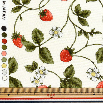 [Quantity starting from 5] Fabric 『Oxford Essential Garden Strawberry Off White AP51801-2A"