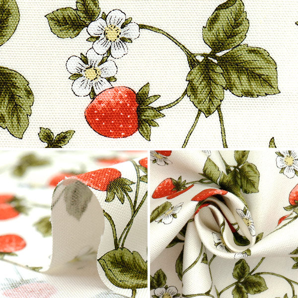 [Quantity starting from 5] Fabric 『Oxford Essential Garden Strawberry Off White AP51801-2A"