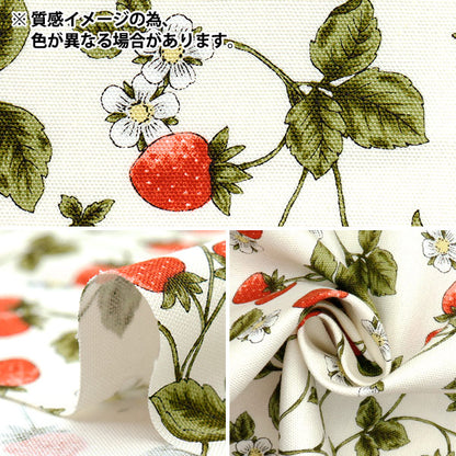 [Quantity starting from 5] Fabric 『Oxford Essential Garden Strawberry Beige AP51801-2B"