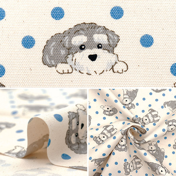 [Quantity starting from 5] Fabric 『Oxford Polka dotsSchnauzer Kinari AP52903-1A"