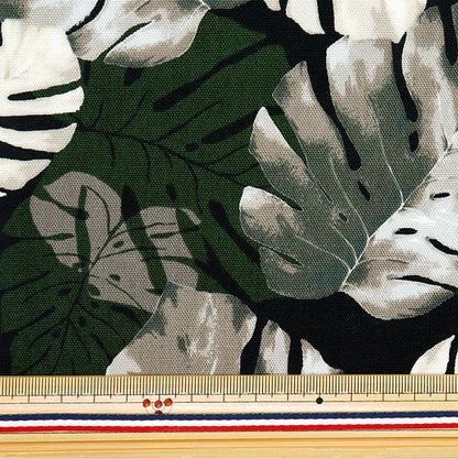[Quantity starting from 5] Fabric 『Oxford Hawaiian Monstera Black AP52202-1E"
