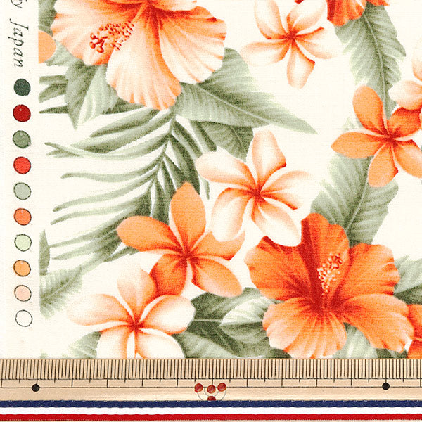 [Quantity starting from 5] Fabric "Broad Hibiscus Beige 4236-1-5"