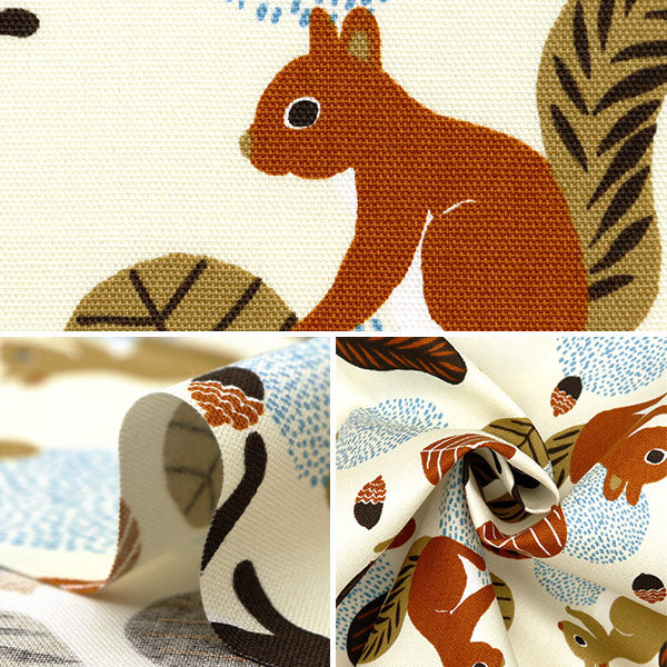 [From quantity 5] Fabric 『Oxford Onnella squirrel pattern ivory on10641S-A"
