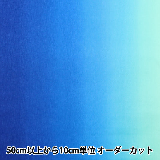 [數量從5開始] 織物 梯度印刷AO DD11216S-501"