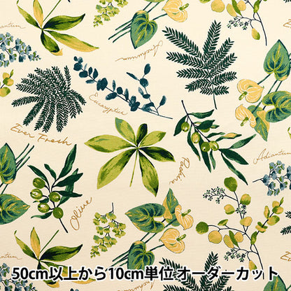 [Quantity starting from 5] Fabric 『Oxford House Plants Ivory x Green SC10672S-A"
