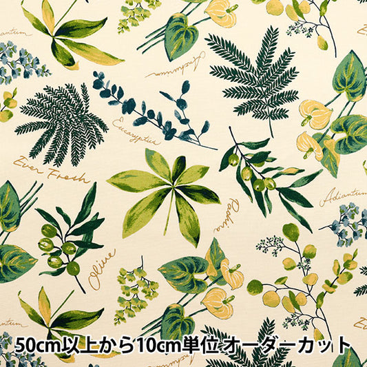 [Quantity starting from 5] Fabric 『Oxford House Plants Ivory x Green SC10672S-A"