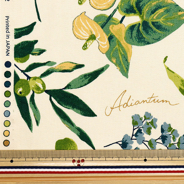 [Quantity starting from 5] Fabric 『Oxford House Plants Ivory x Green SC10672S-A"