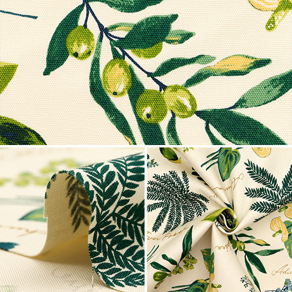 [Quantity starting from 5] Fabric 『Oxford House Plants Ivory x Green SC10672S-A"