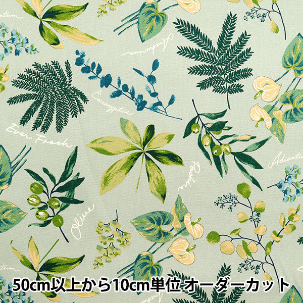 [Quantity starting from 5] Fabric 『Oxford House Plants Mint SC10672S-C"