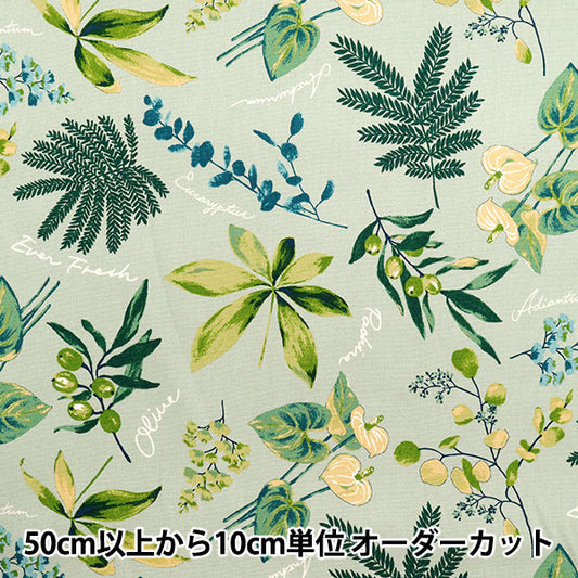 [Quantity starting from 5] Fabric 『Oxford House Plants Mint SC10672S-C"
