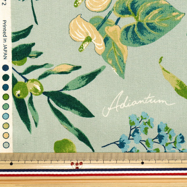 [Quantity starting from 5] Fabric 『Oxford House Plants Mint SC10672S-C"