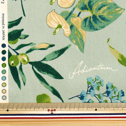 [Quantity starting from 5] Fabric 『Oxford House Plants Mint SC10672S-C"