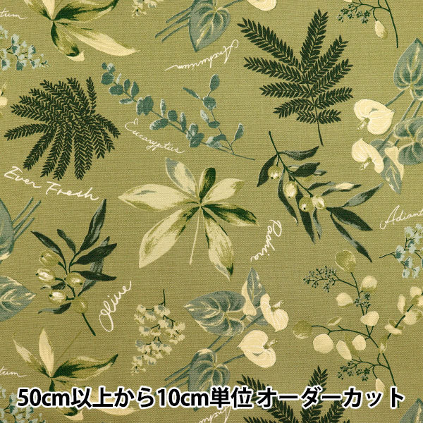 [数量从5开始] 织物 『牛津布 室内植物橄榄SC10672S-D"