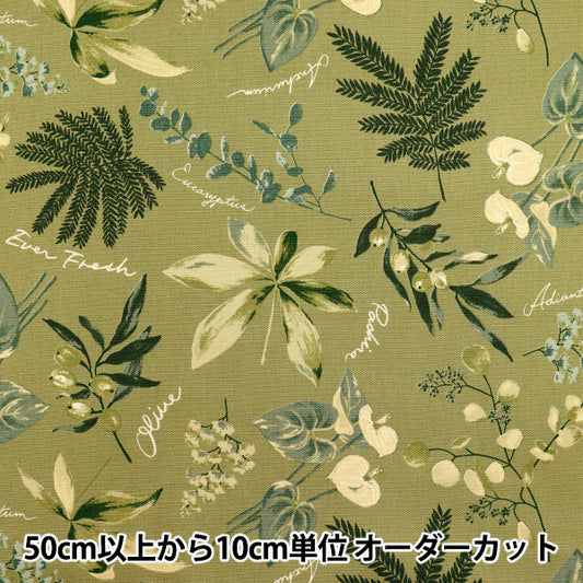 [数量从5开始] 织物 『牛津布 室内植物橄榄SC10672S-D"