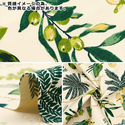 [Quantity starting from 5] Fabric 『Oxford House Plants Black SC10672S-E"