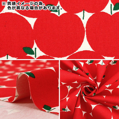 [Quantity from 5] Fabric 『Oxford Apple dot orange 850551-1-2"