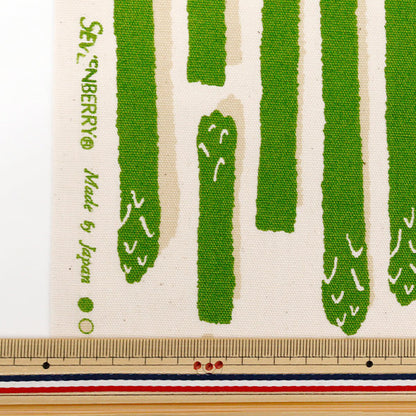 [Quantity starting from 5] Fabric 『Oxford Asparagus striped green 850552-1-1"