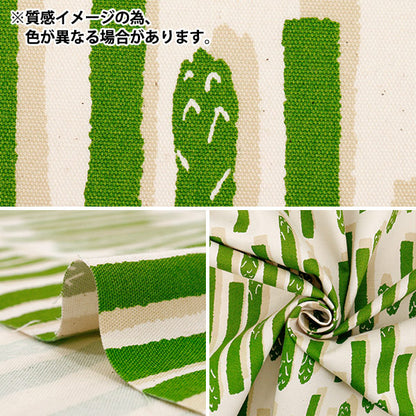 [Quantity starting from 5] Fabric 『Oxford Asparagus striped yellow green 850552-1-3"