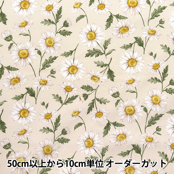 [数量从5开始] 织物 "勒离开花园 牛津布 雏菊天然142-1359-A1"