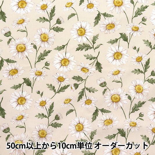 [数量从5开始] 织物 "勒离开花园 牛津布 雏菊天然142-1359-A1"