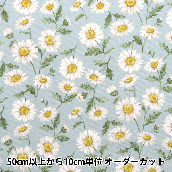 [数量从5开始] 织物 "勒离开花园 牛津布 雏菊萨克斯142-1359-A2"