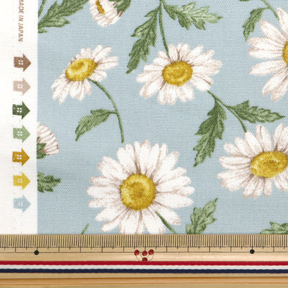 [数量从5开始] 织物 "勒离开花园 牛津布 雏菊萨克斯142-1359-A2"