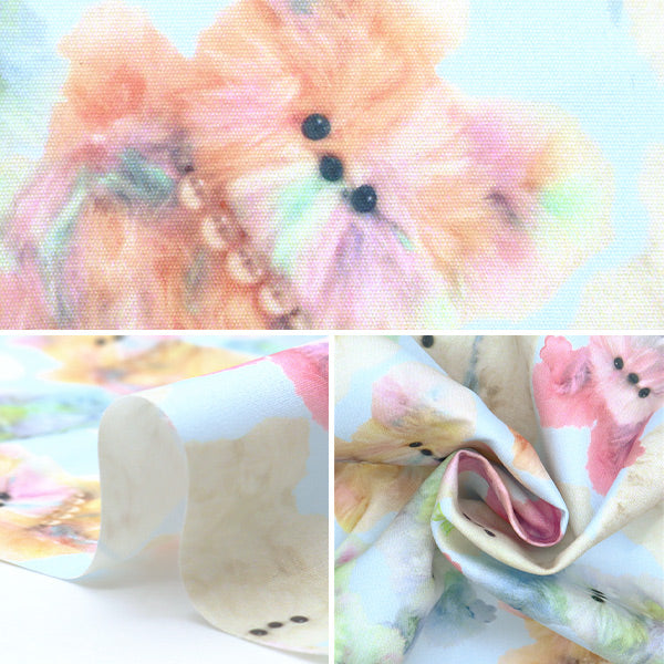 织物 "Imadokikids 剪布 大约45厘米x 100厘米彩虹动物蓝色IMAF-21C-BL" KIYOHARA